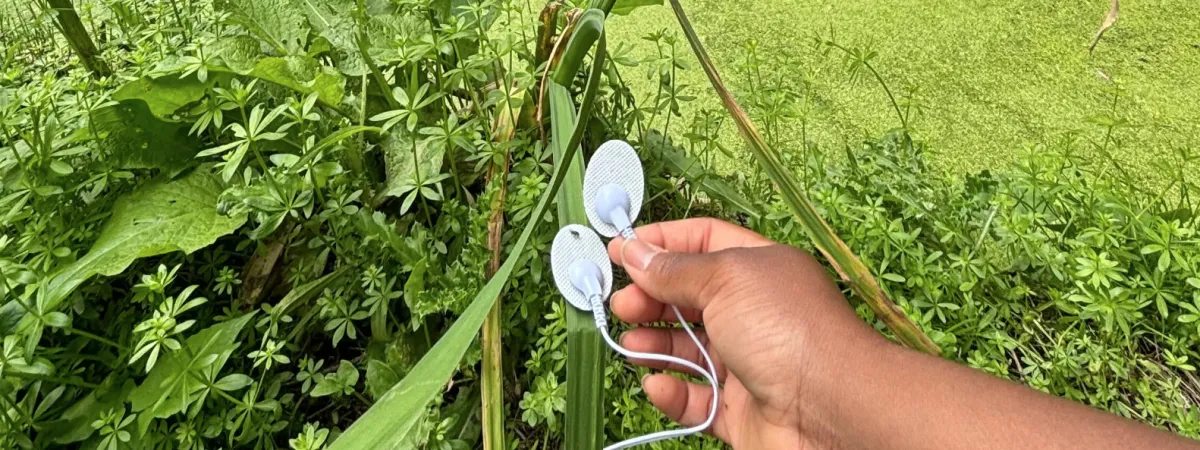 Workshop: Listening & Creating Living Landscapes