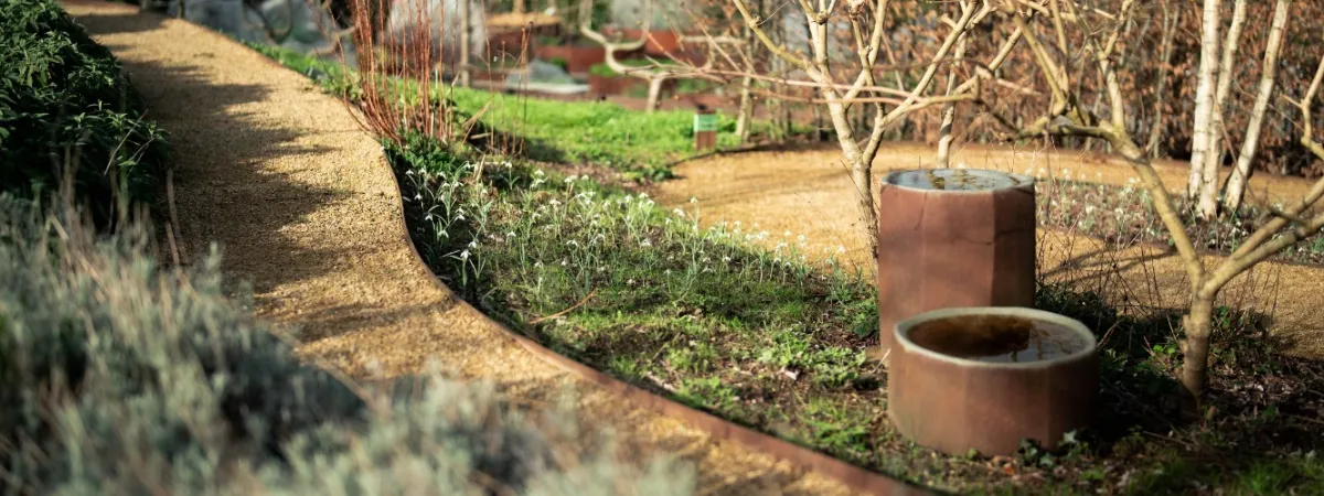 February Open Sunday