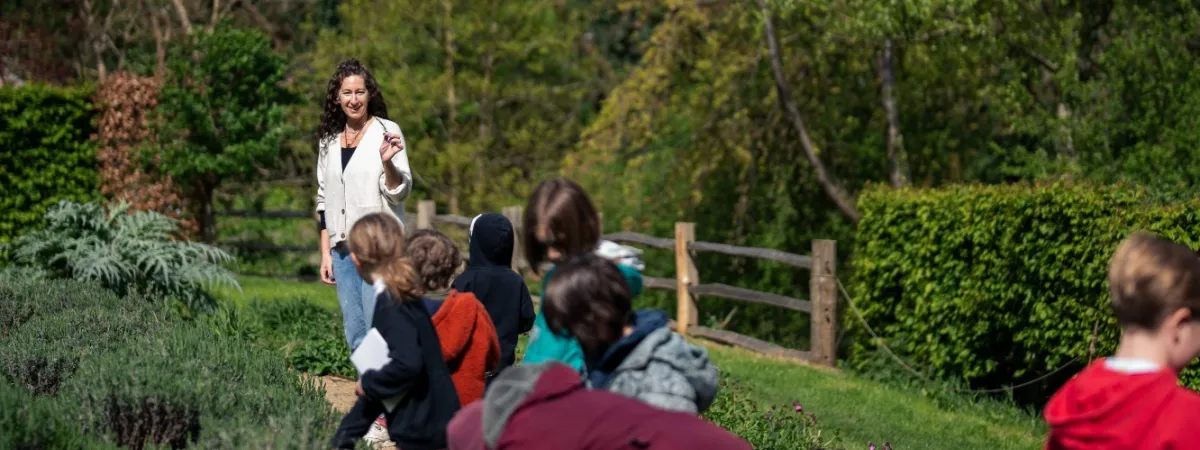The Wild Willow Art Club for Children
