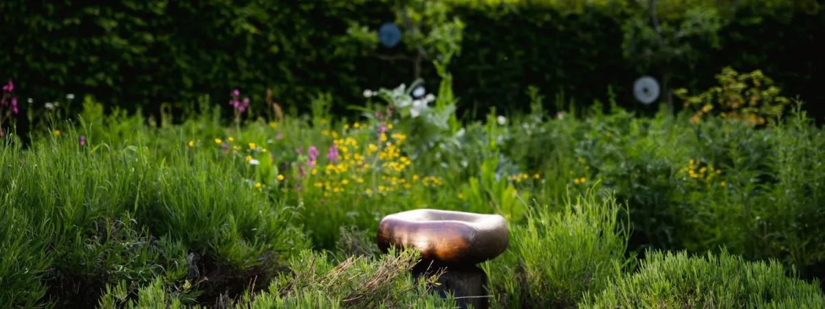 Open Gardens Fundraiser for North London Hospice