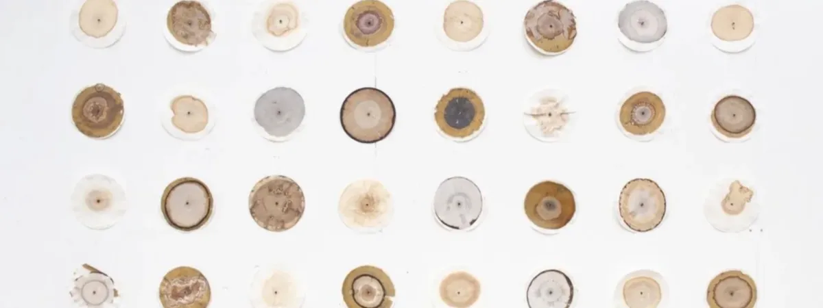 Workshop: Soil Chromatography with Sustainable Darkroom