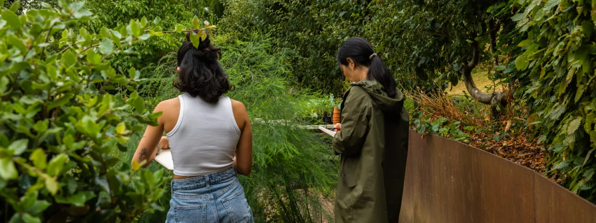 Midweek Meditation: Self-Guided Nature Journaling