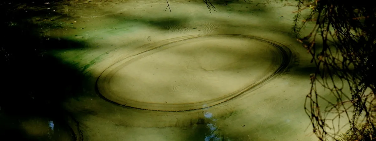 Sensing Earth: A Meditation in Clay & Sound Bath with Arran Gregory & Joe Dalziel