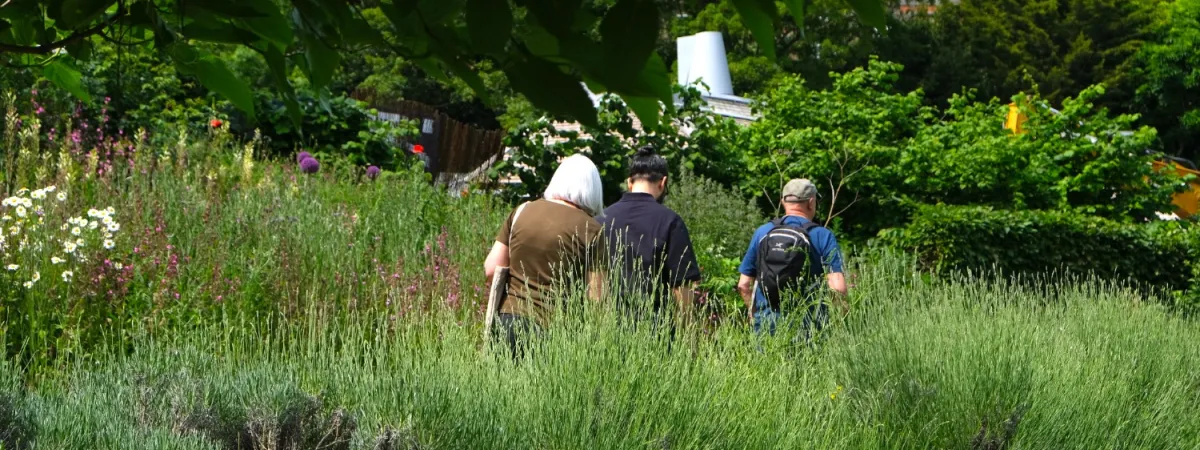 Open Day For London Open Gardens
