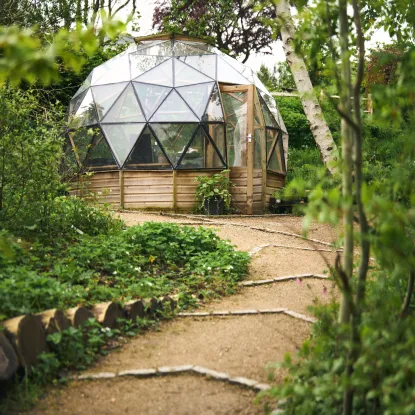 Cover of Dome
