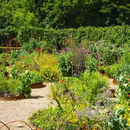 Cover of Vegetable Garden