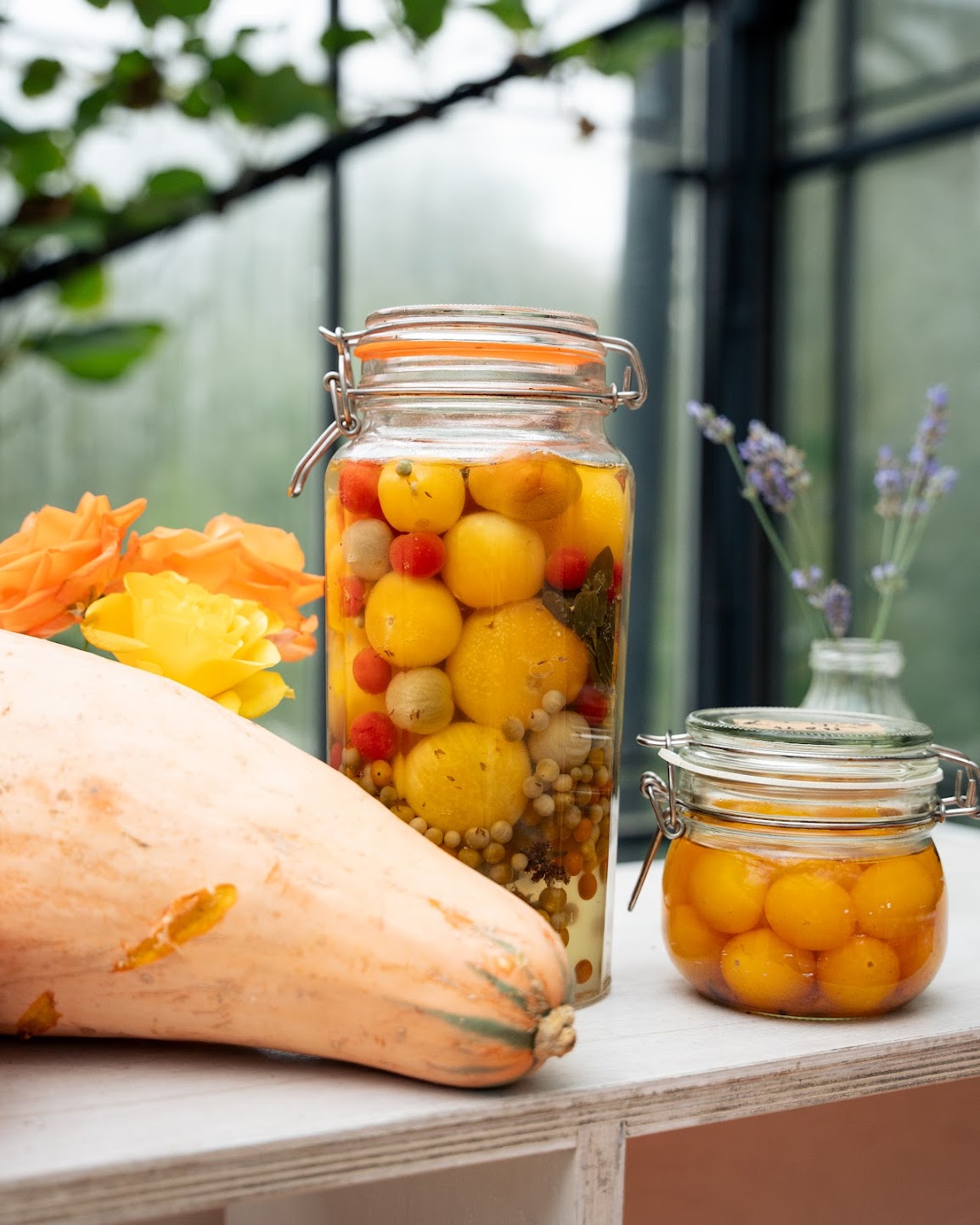 Fermented Favourites