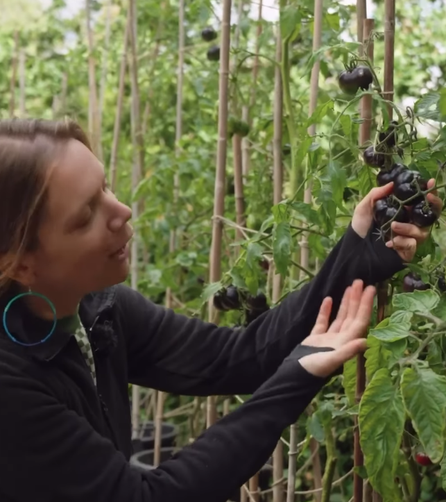 Harvest season in the garden with Chef Georgia