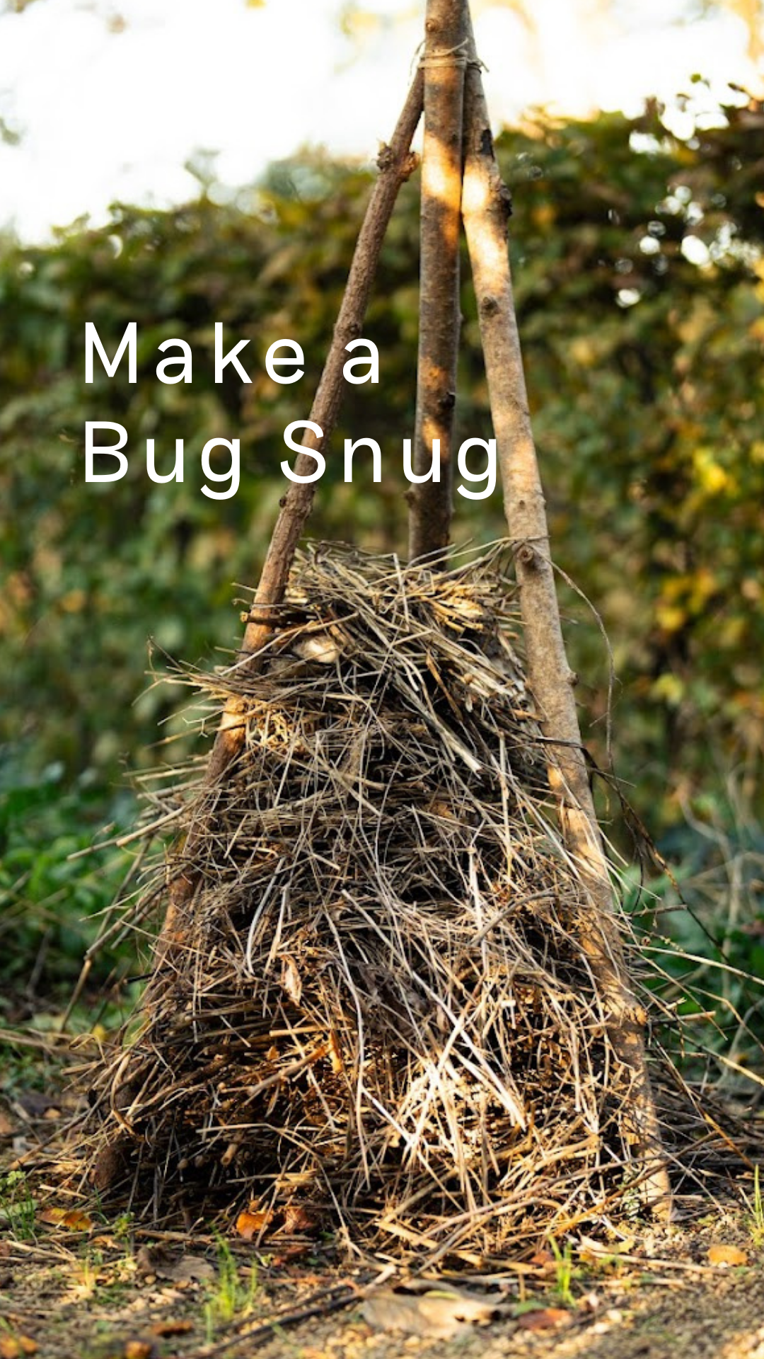 Make a bug snug