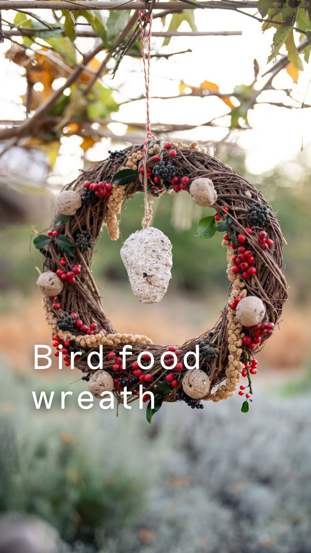 Make a bird feeder wreath