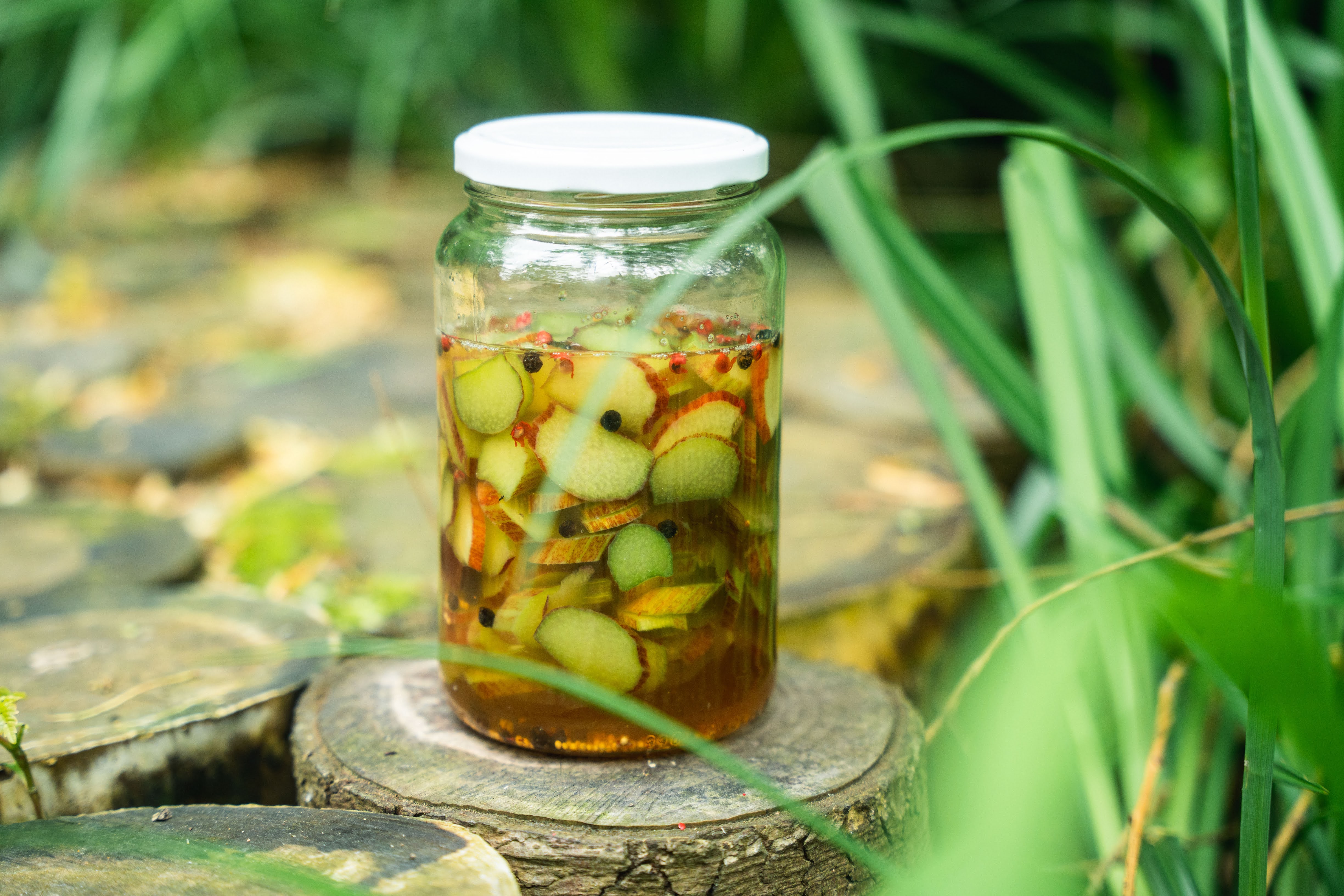 Rhubarb Pickle