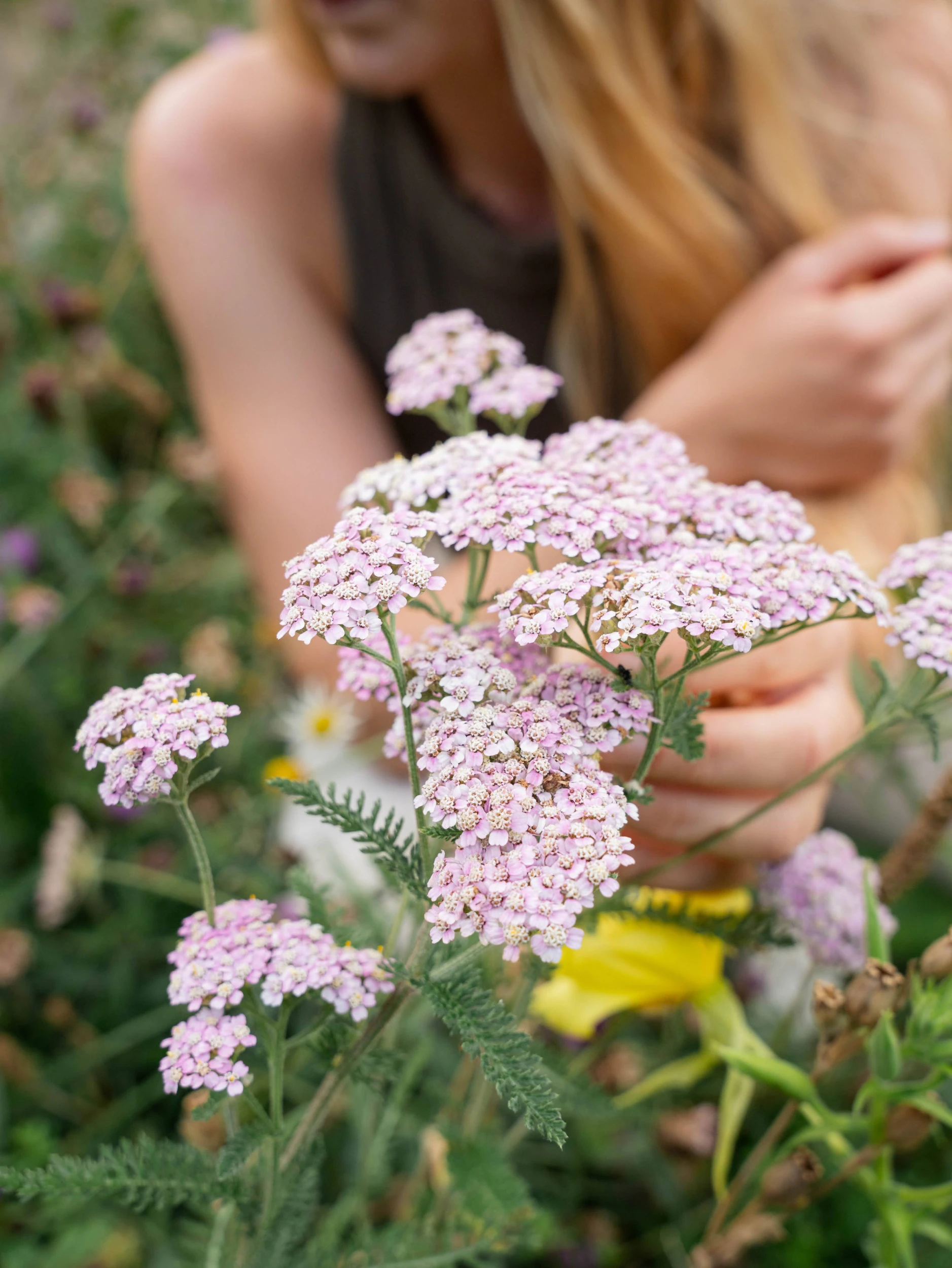 Yarrow Folklore
